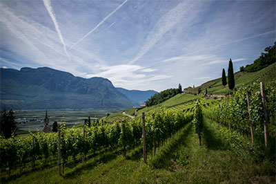 south african landscape