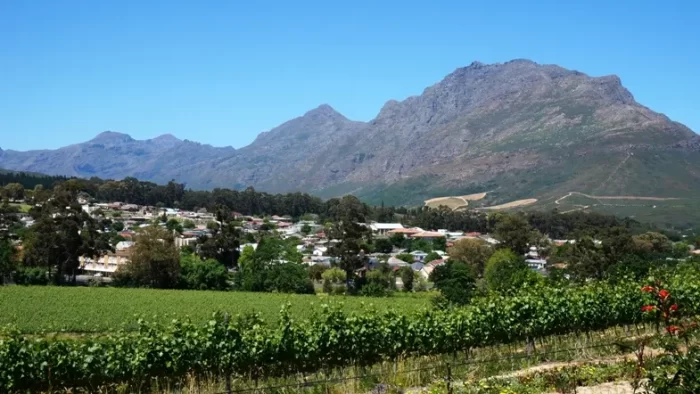 south african wine route
