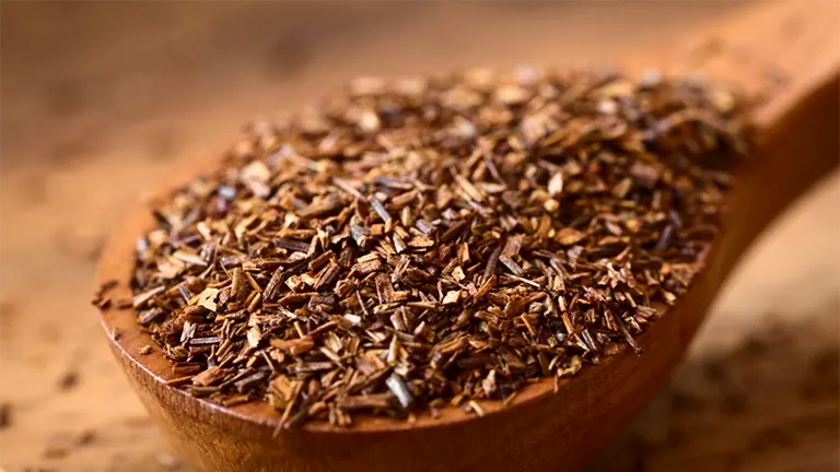 rooibos tea